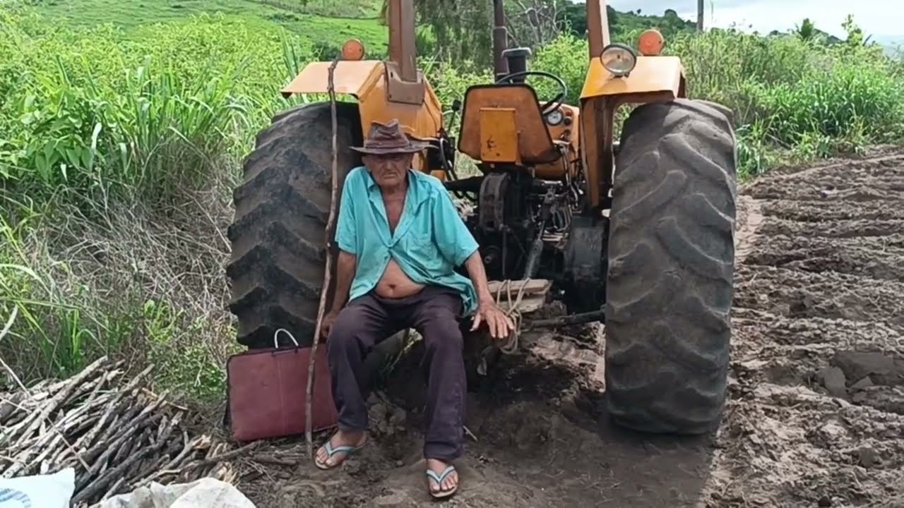 Segunda parte do plantio de inhame no sítio 