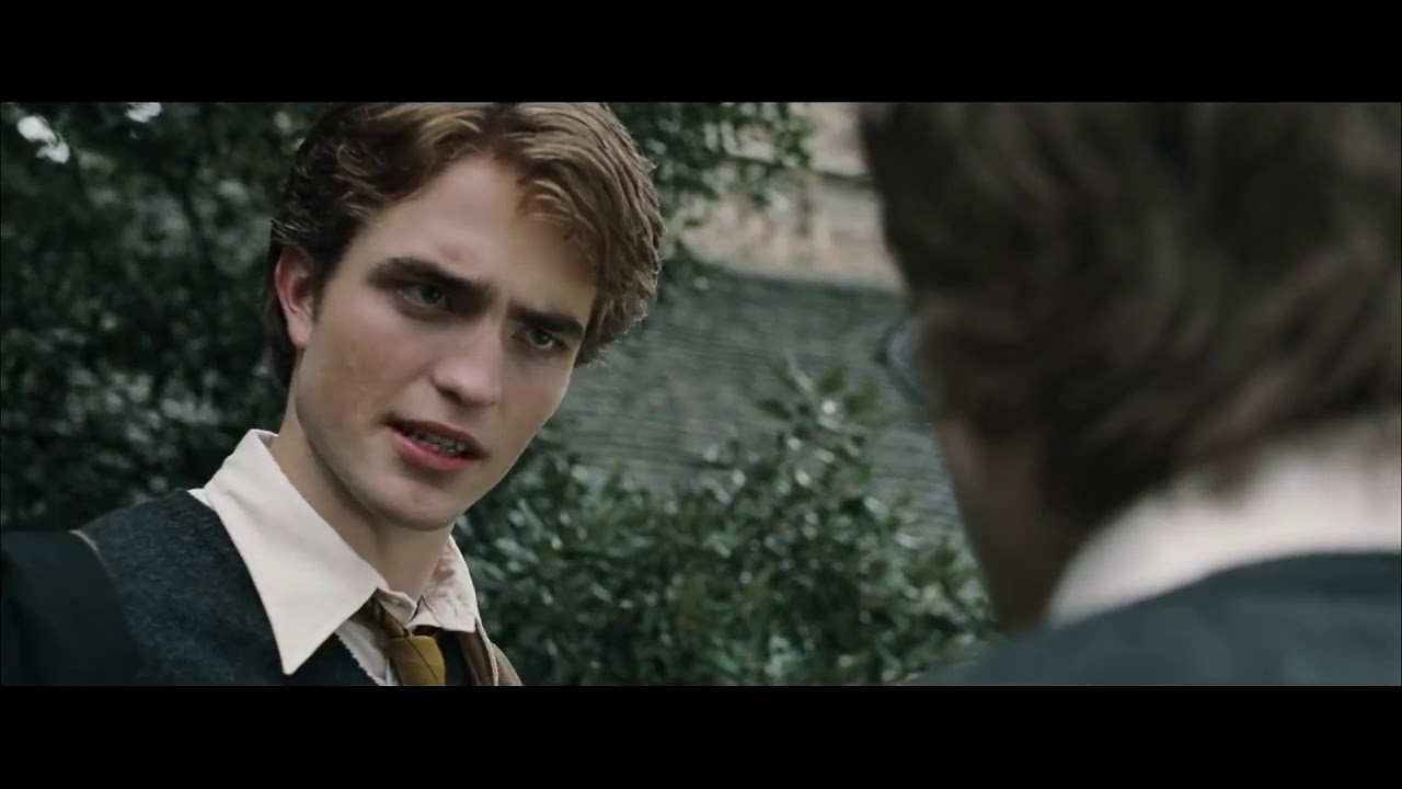 Harry tells Cedric about Dragons