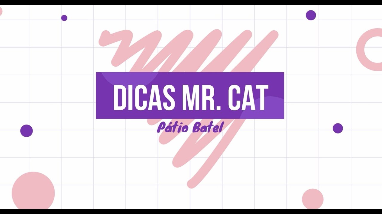 Um novo dia, um novo tênis Mr. Cat Pátio Batel