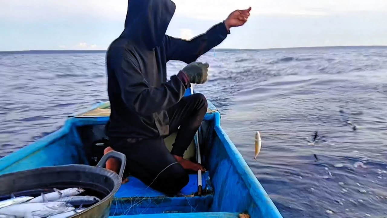 FULL BABY TUNA .MANCING TEHNIK RINTA