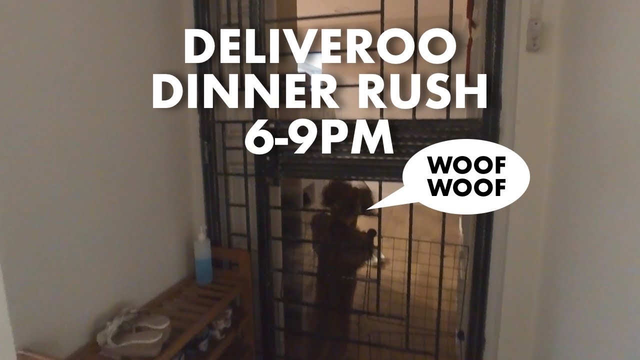 DOGGO EXCITED TO MEET ME 🥰 | Food Delivery Vlog | Deliveroo Singapore