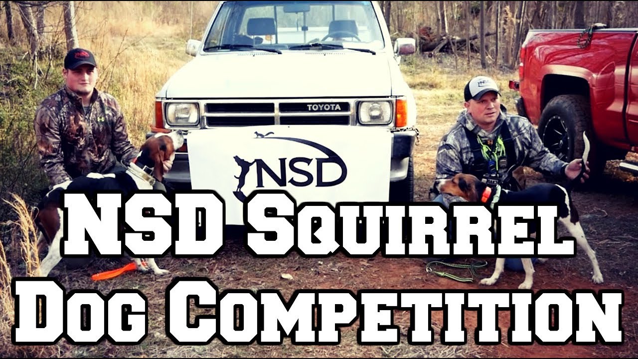 National Sport Dog Squirrel Competition