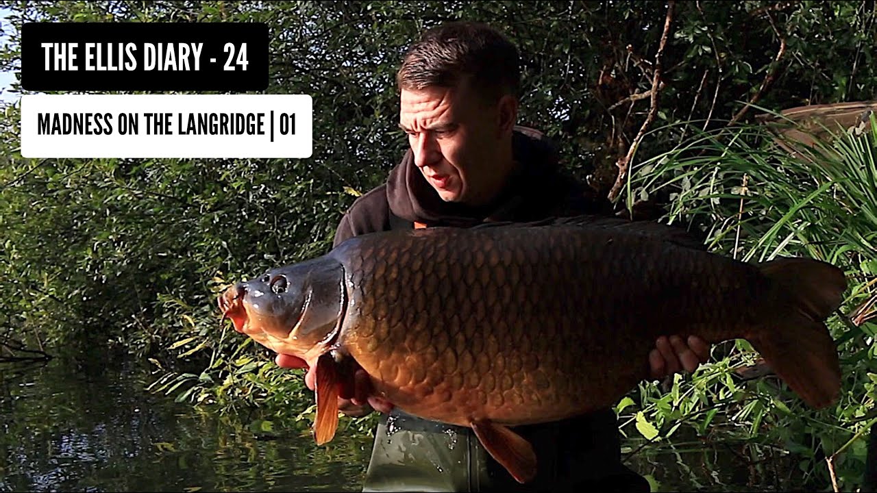 THE ELLIS DIARY - MADNESS ON THE LANGRIDGE | 01