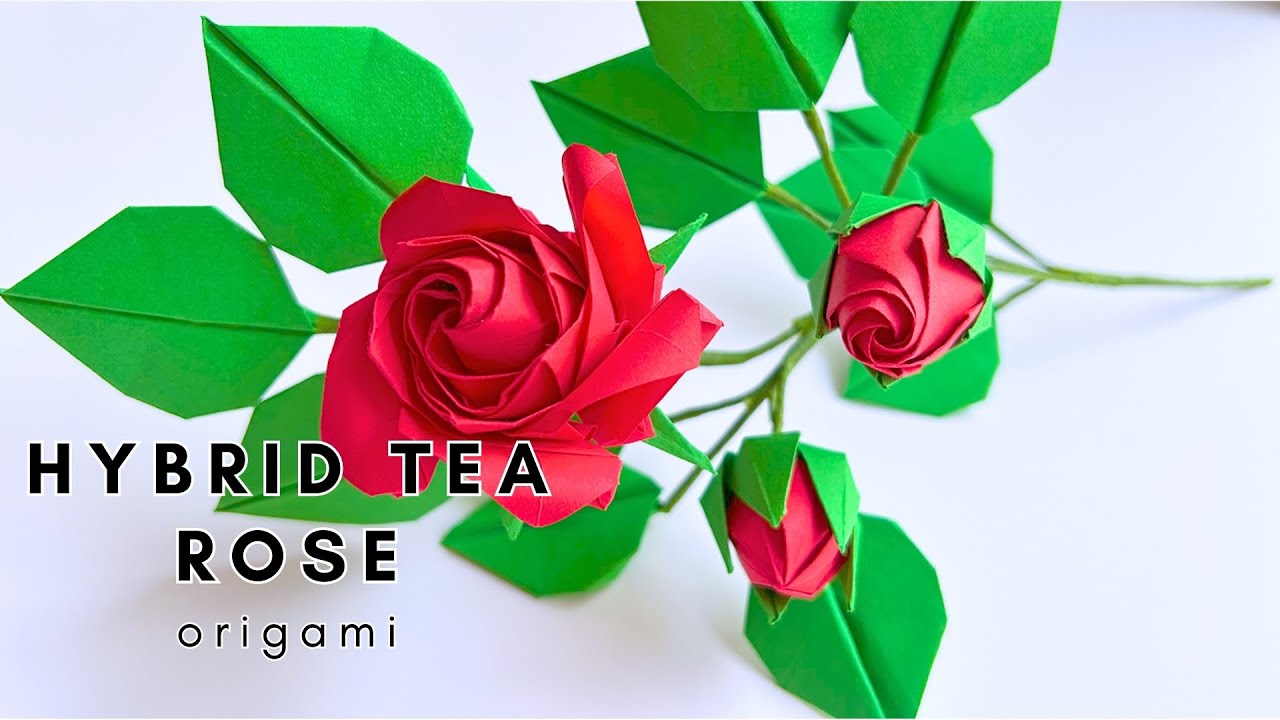 🌸 Origami Flower: ROSE [a rose branch] | Beautiful Paper Flower Tutorial