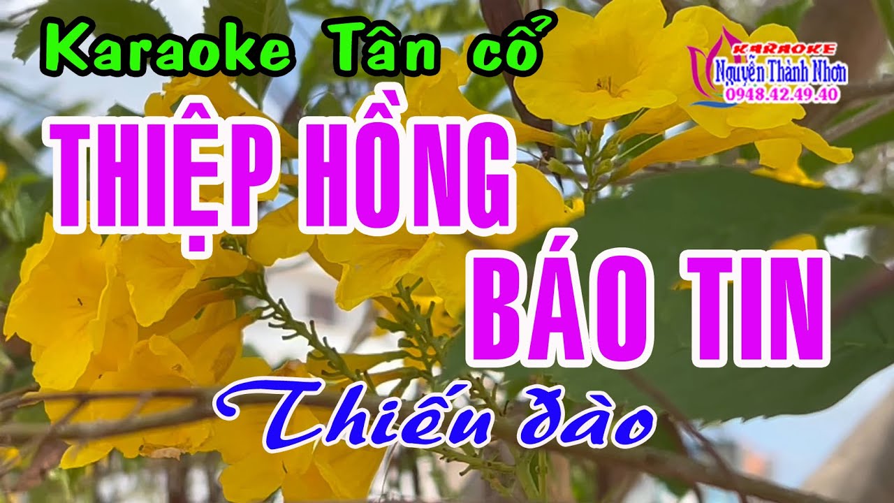 Karaoke Tân cổ THIỆP HỒNG BÁO TIN  - THIẾU ĐÀO [Hát cùng Hoàng Hôn]