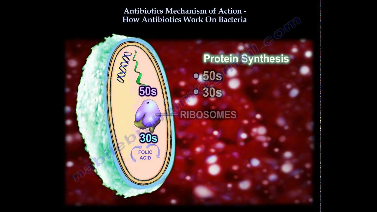 Antibiotics Mechanism Of Action Part 1 - Everything You Need To Know - Dr. Nabil Ebraheim