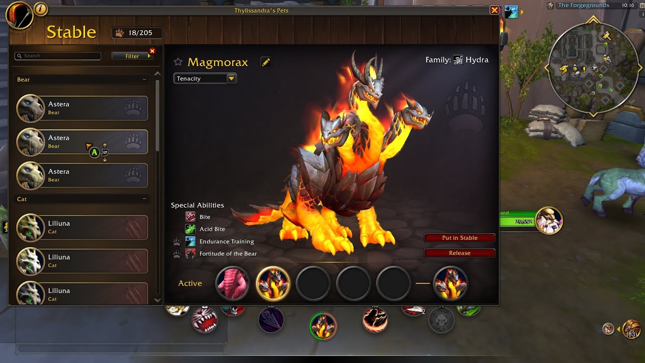 How to Tame Magmorax: The Magma Hydra in Patch 12.0: Midnight Pre-Patch