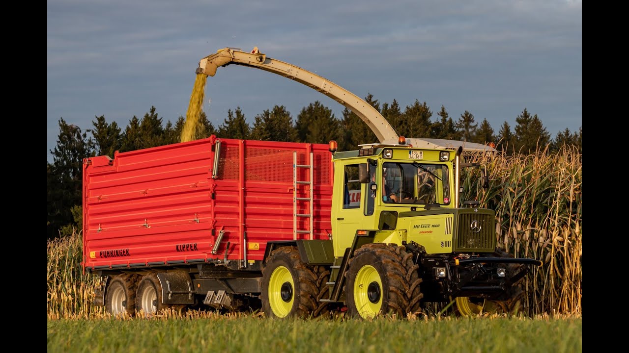 MB trac 1000 intercooler Maissilage 2019 mit Claas Jaguar; Extended-Edition Henne Unimog Video