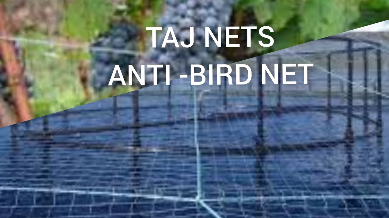 Anti-Bird Net.Only 20 Paisa sq feet.Aquaculture.Grape Farming.Pond culture.Full Width.Cheapest rate