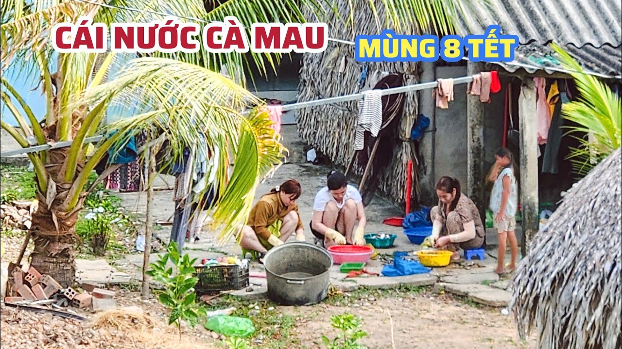 Vùng Quê Cái Nước Cà Mau: Nhịp Sống Bà Con Yên Bình Nhưng Thiếu Bóng Ngưòi Xa Quê Mùng 8 Tết 2026