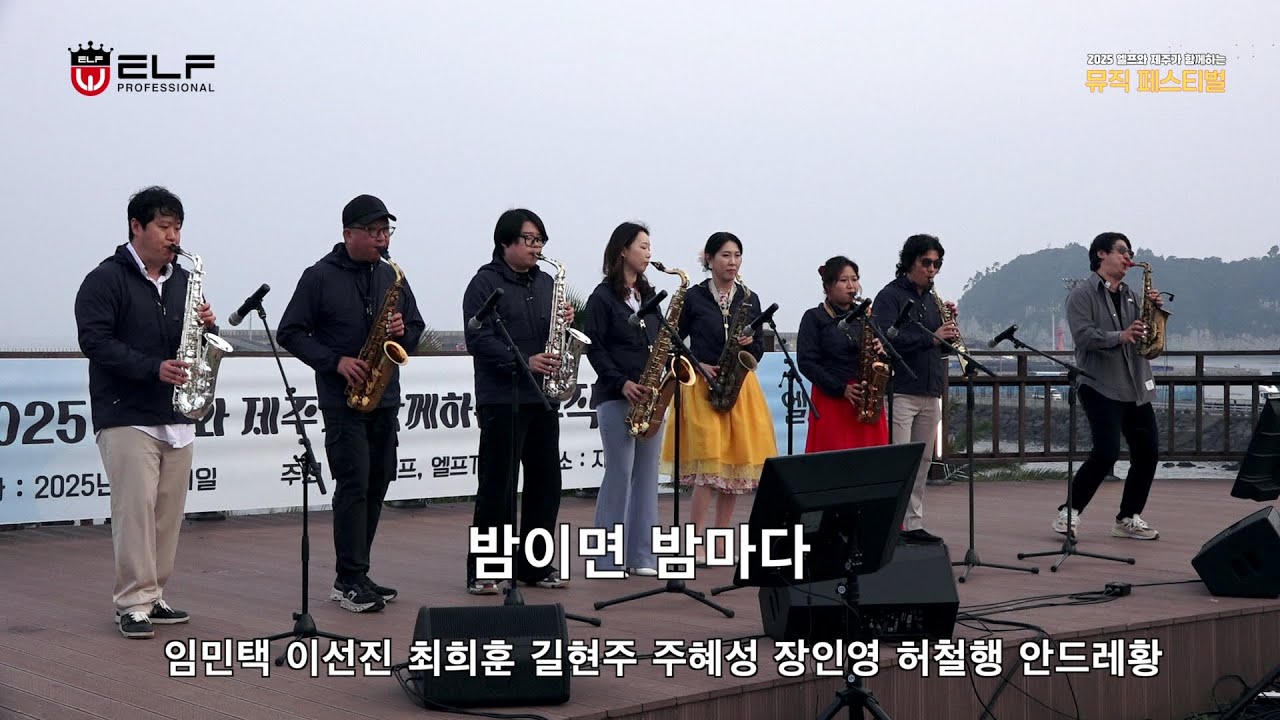 [엘프 뮤직페스티벌 in 제주] 밤이면 밤마다 _  색소포니스트 단체공연 #인순이  #엘프 #색소폰