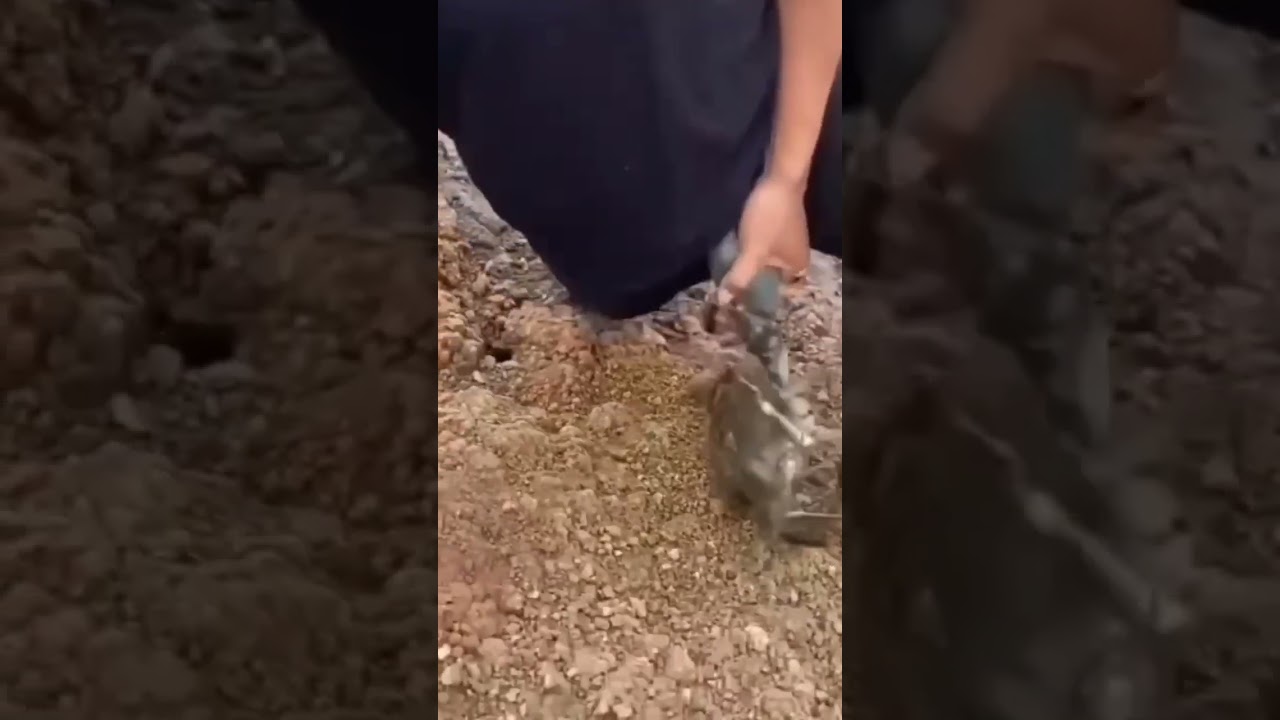 a Crab caught this man BY THE NUTZ! 💯🤣 | Funny Dramatic Depiction