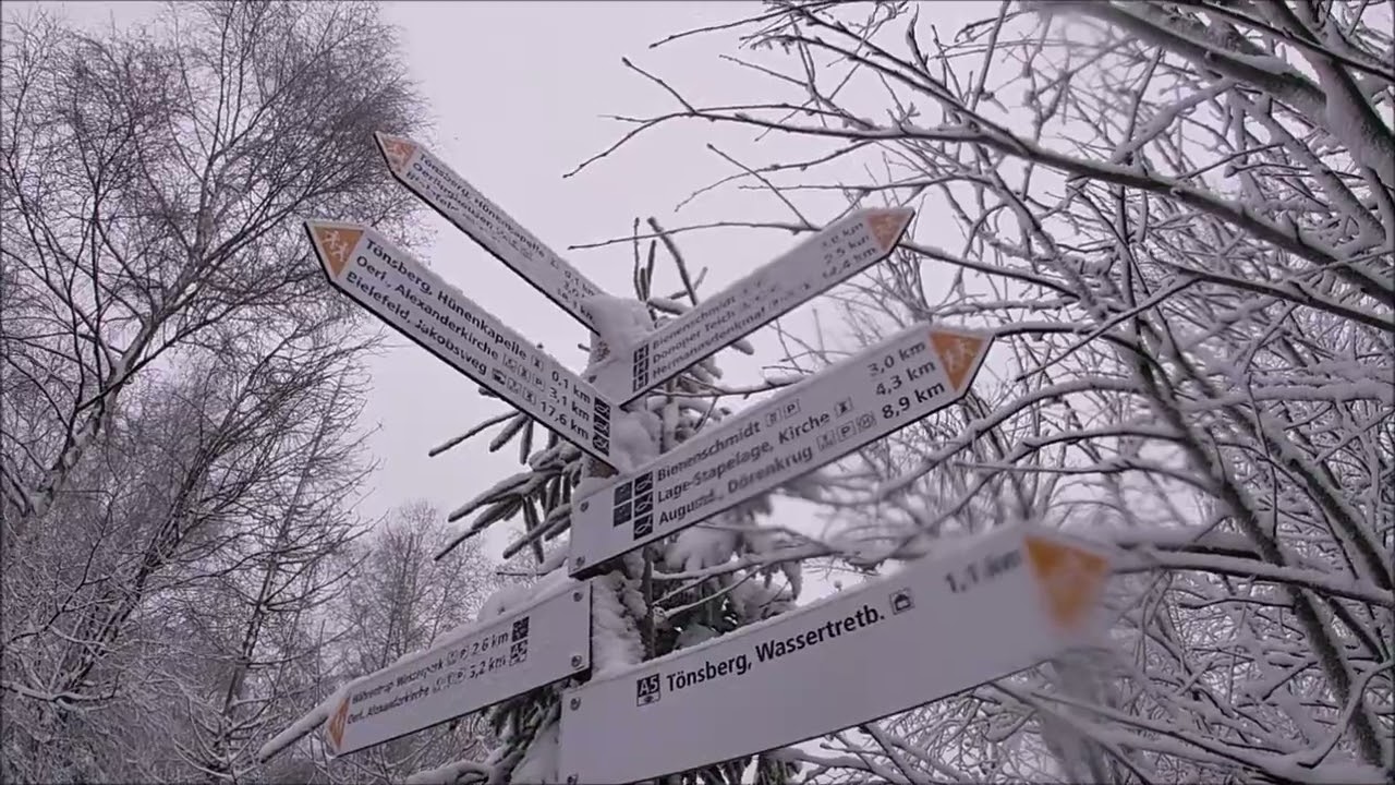 Wandern in Lippe: #39 | Tönsberg im Schnee