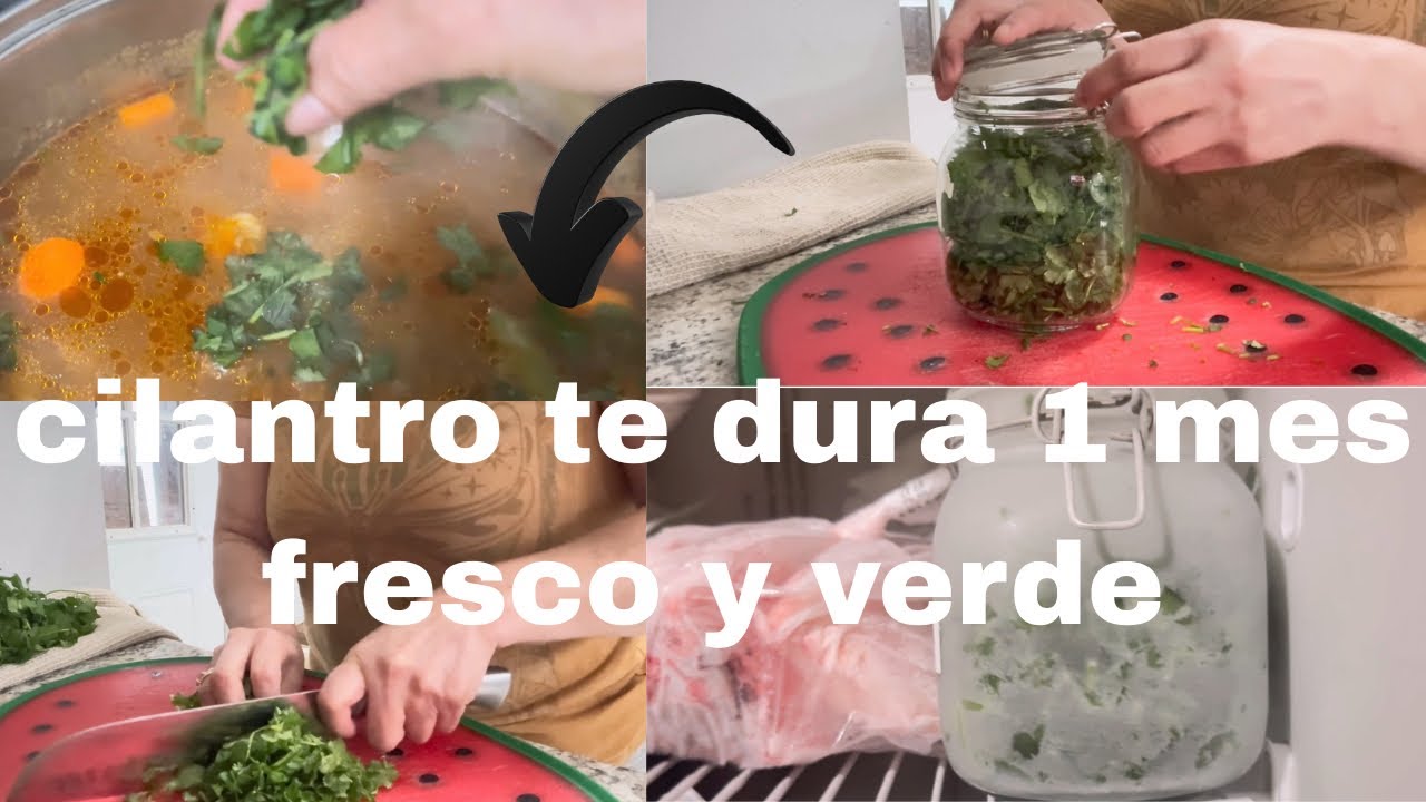 Ideas para que tu cilantro te dure 1 mes,fresco y verde 👍👍👍