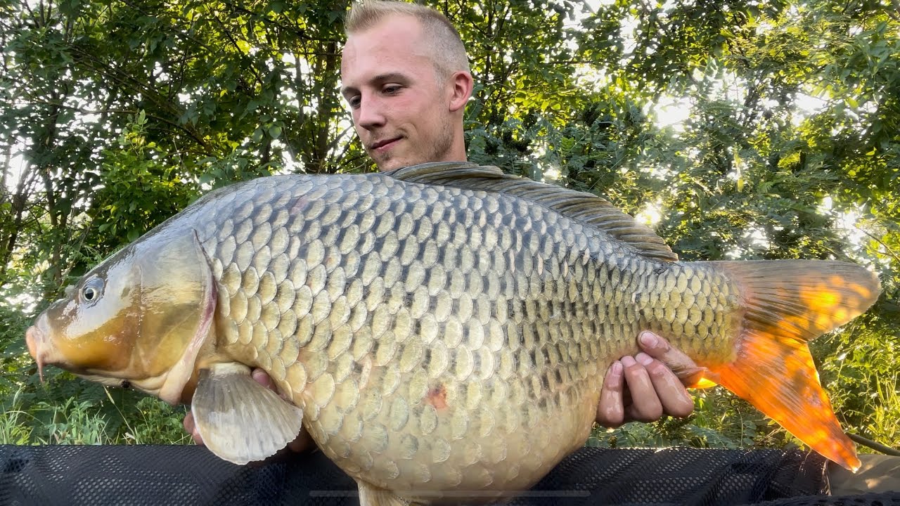 Hortobágy-Berettyó folyó bojlizás. Nagy  Pontyok  nyomába! #2 Rész #haldorado