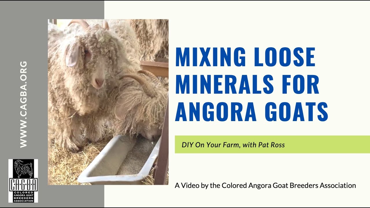 Mixing Minerals for Angora Goats