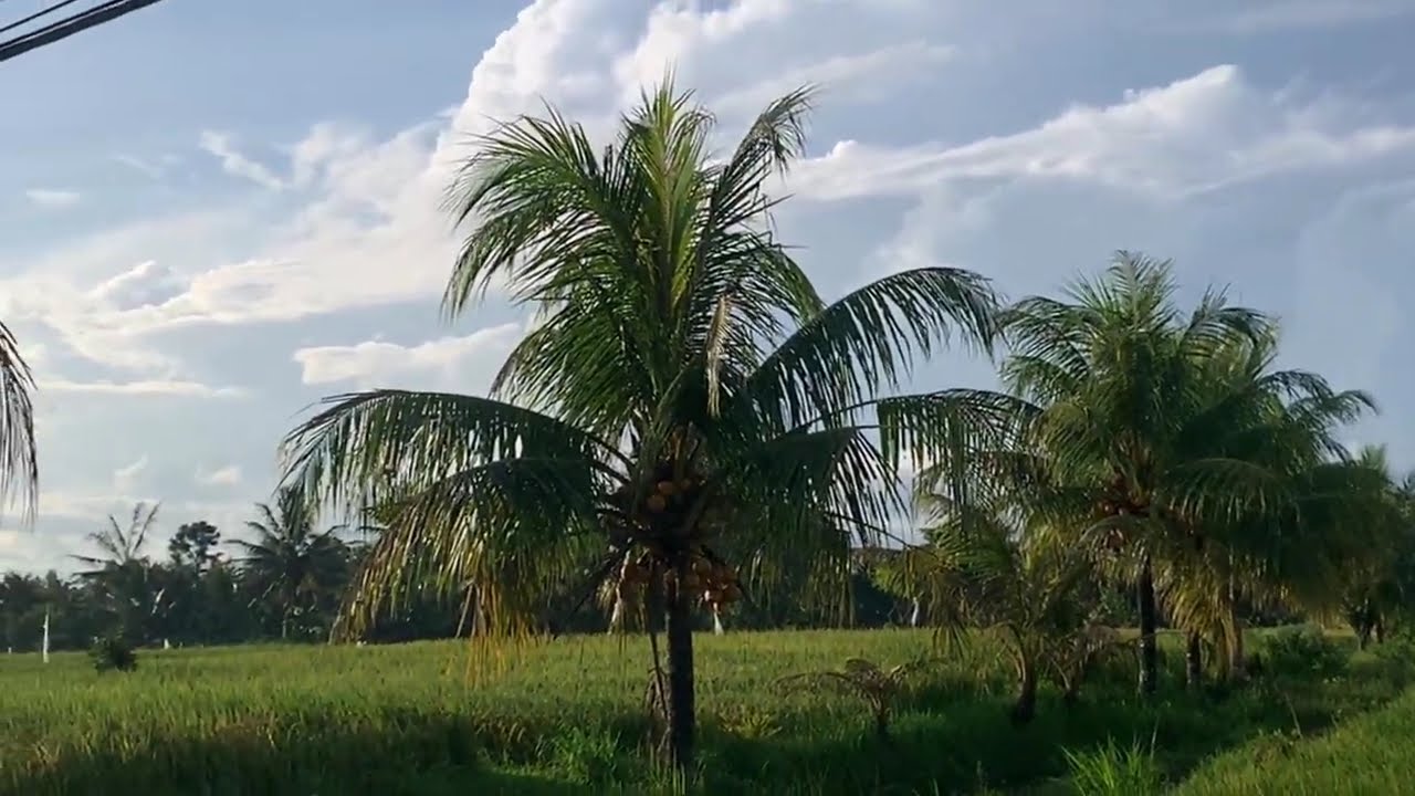 KUMPULAN LAGU BALI TERBARU 2026 | Sing Cande Cande, Boye lagu jaruh, Bungan Hati, Bagus Wirata