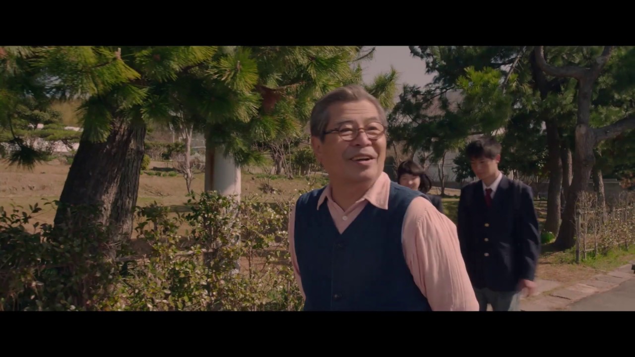 猫がたくさん！映画『ねことじいちゃん』予告映像