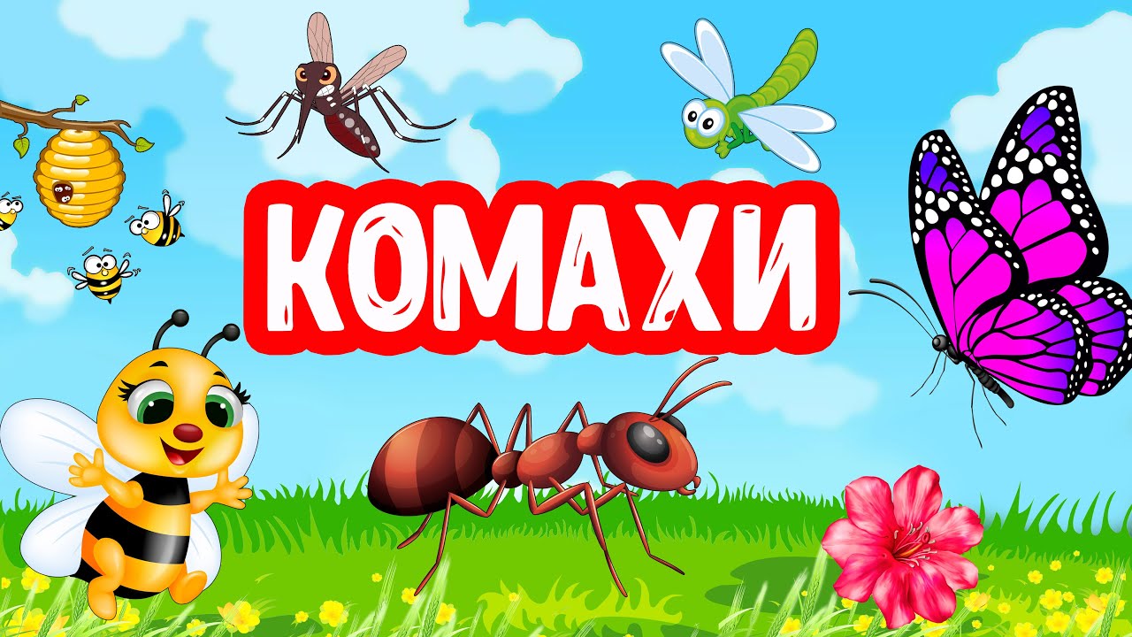 КОМАХИ розвиваюче відео