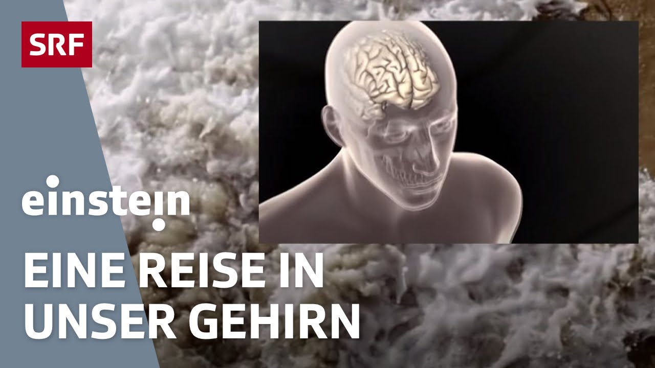 Das menschliche Bewusstsein – Eine Reise in unser Gehirn | Einstein | SRF Wissen