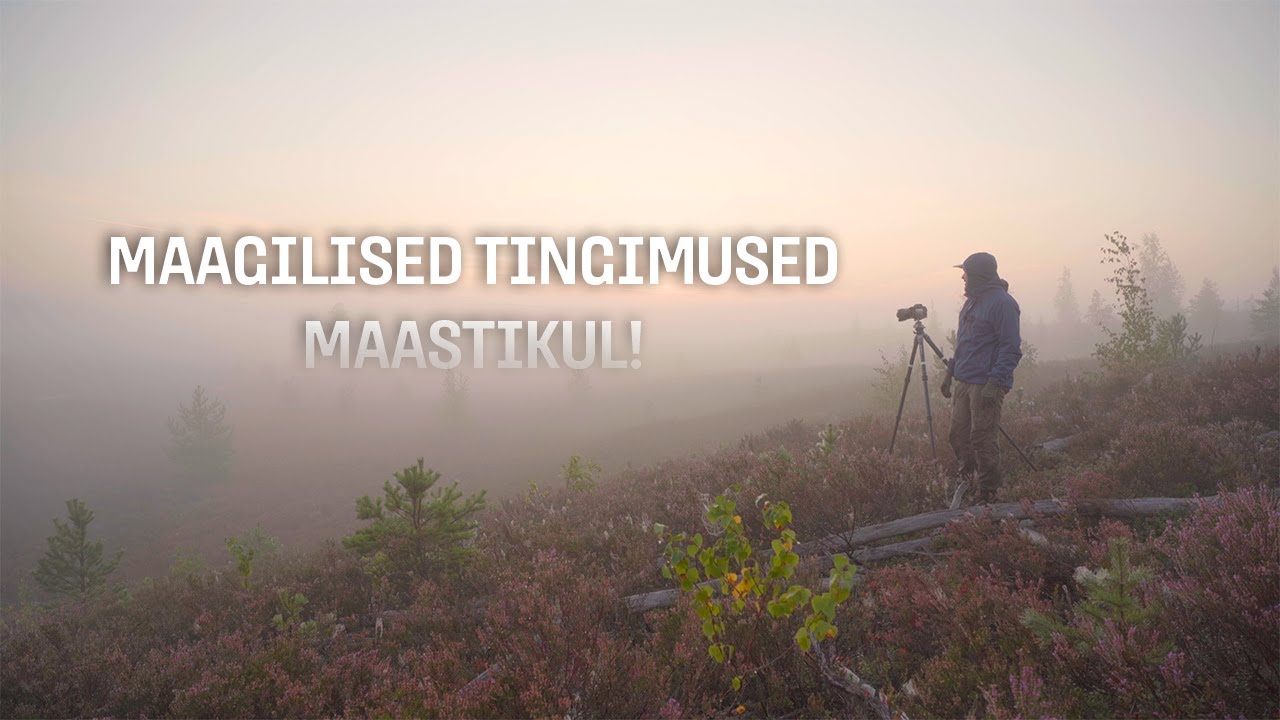 Kuidas ma leian looduses ägedaid pildistamise kohti - vlog 03 (Eng subtitles)