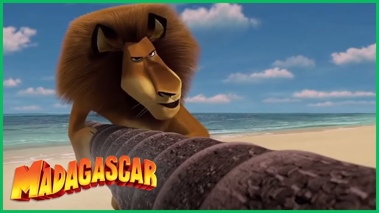 DreamWorks Madagascar em Português | Chegada à Ilha | Desenhos Animados