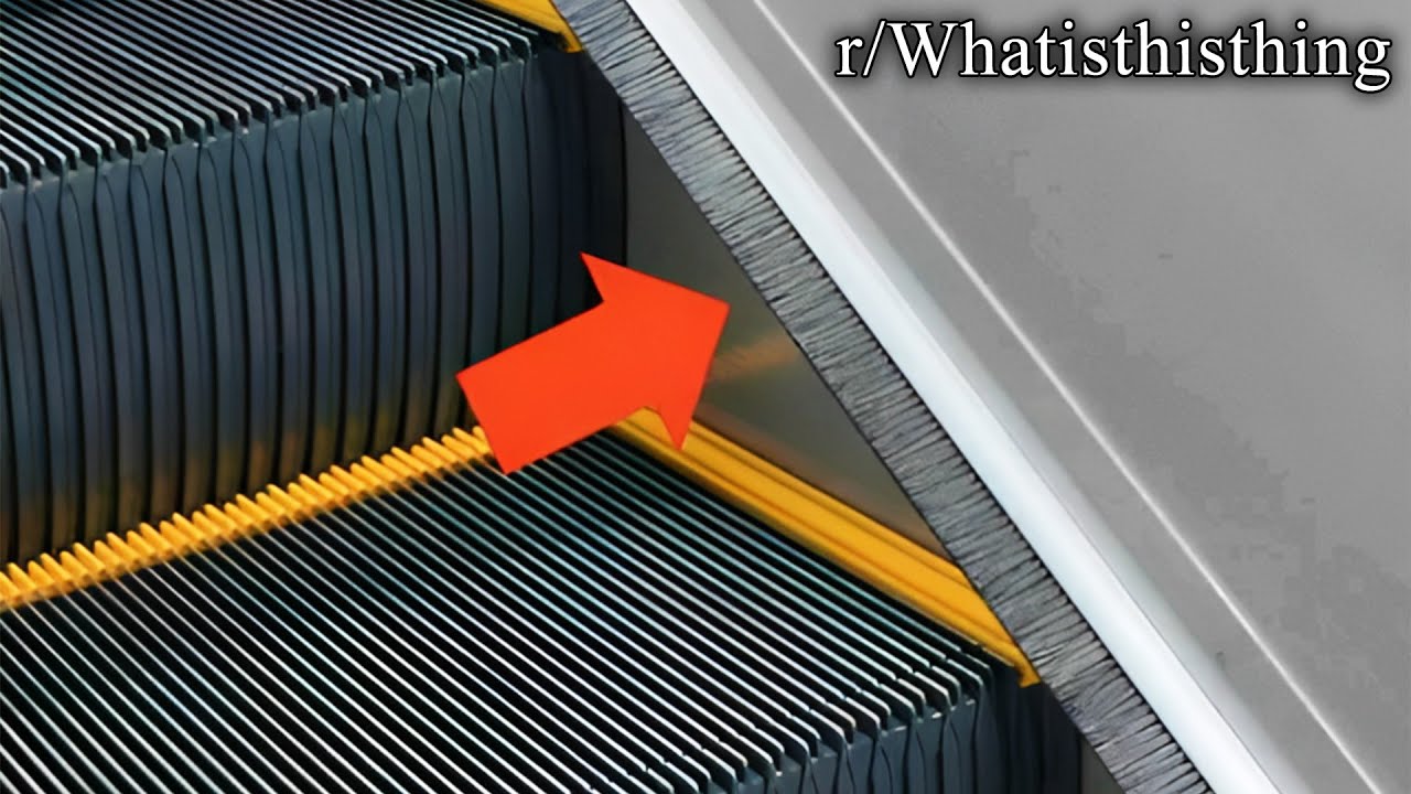 r/Whatisthisthing | Зачем это существует??
