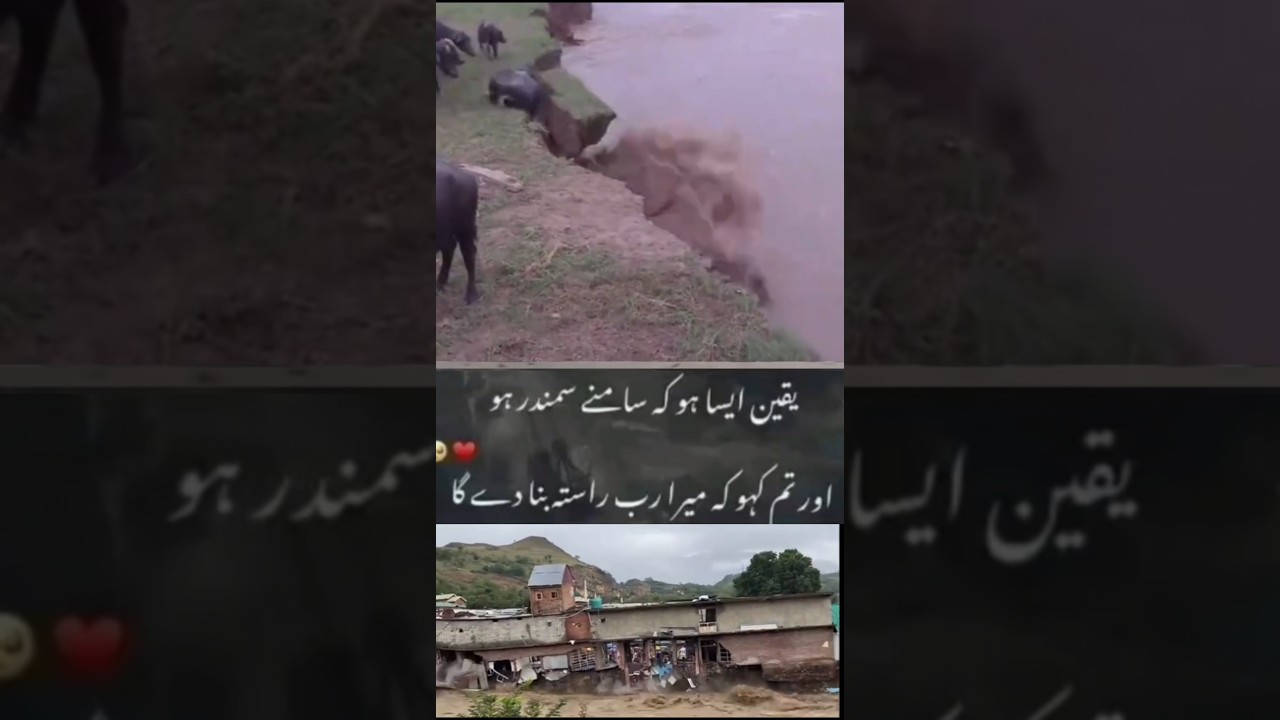 River Flood News |Pakistan River Flood News|