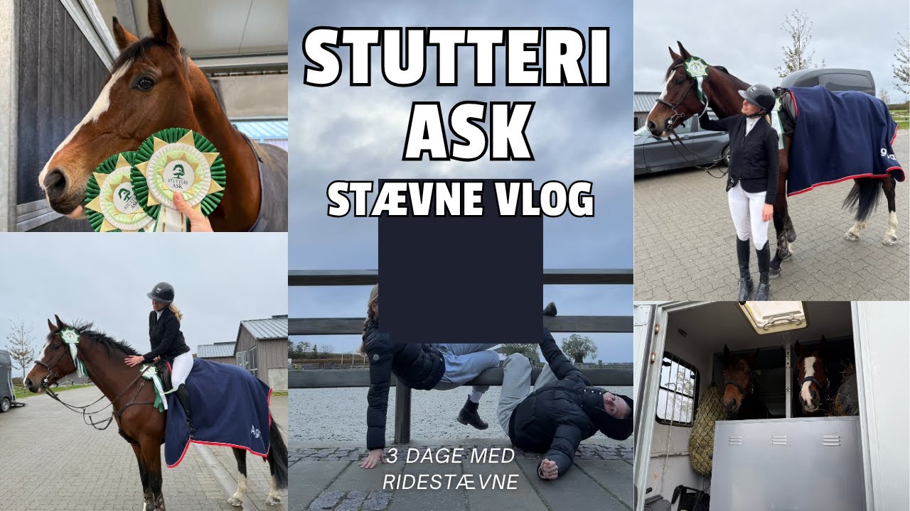STÆVNE VLOG // STUTTERI ASK // 3 DAGE MED RIDESTÆVNE