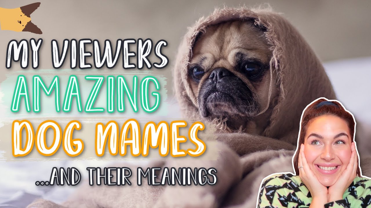 95+ CUTE & UNIQUE DOG NAMES! (Male & Female Pets) | Reacting To Viewers Cute Dog Names WITH PICTURES