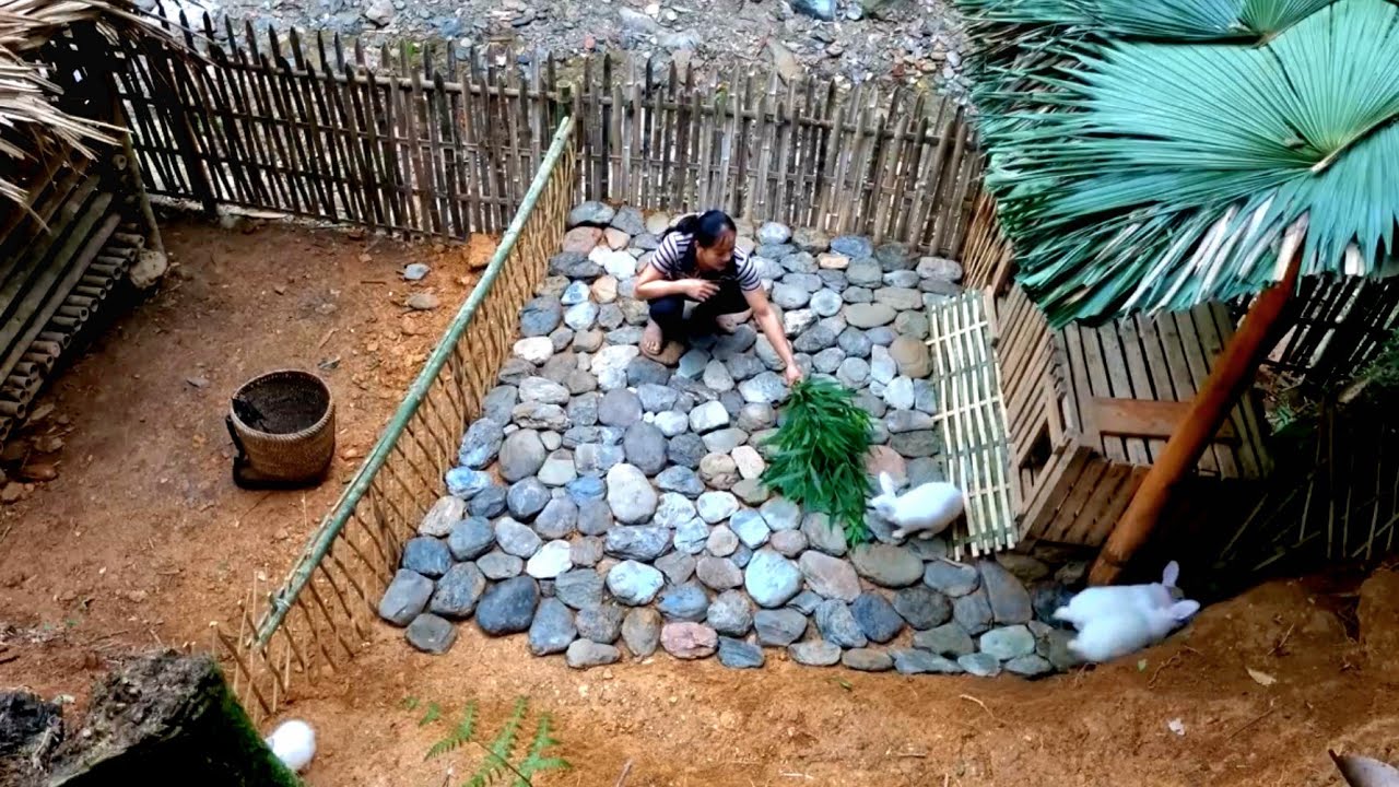 Design the rabbit hutch and arrange the stones to complete the rabbit's enclosure