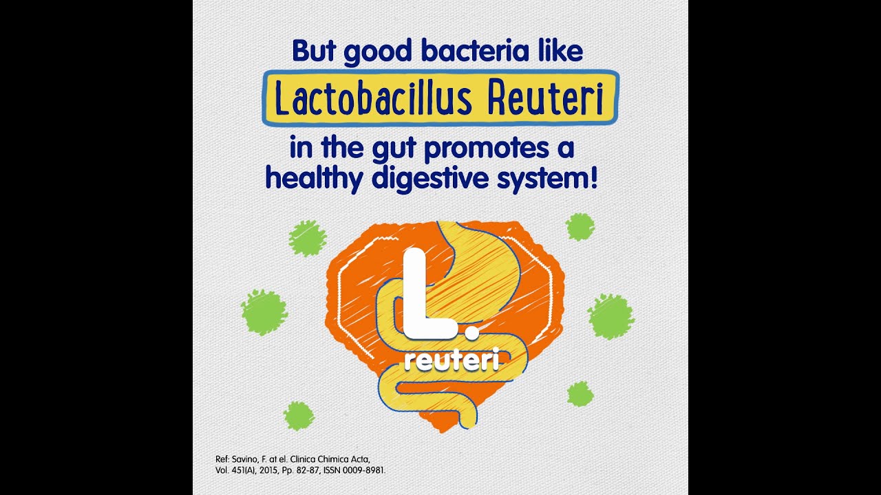 Lactobacillus reuteri probiotics &ndash; Win the fight against Tummy Troubles - 6s
