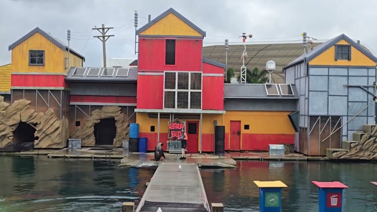 Sea World Gold Coast Seal Show #seaworld #goldcoast #travel