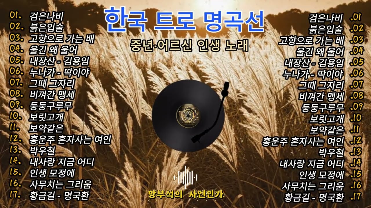🎤 한국 트롯 명곡선 🎶 정통 트로트 명곡 모음 | 중년·어르신을 위한 정통 트로트