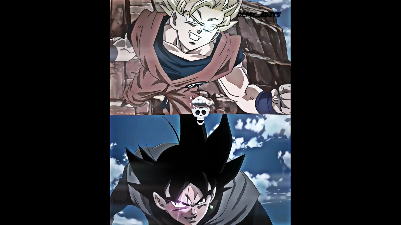 Goku x Goku Black  ☠️💀 #goku #dragonball #dbs #gokublack #skulledit