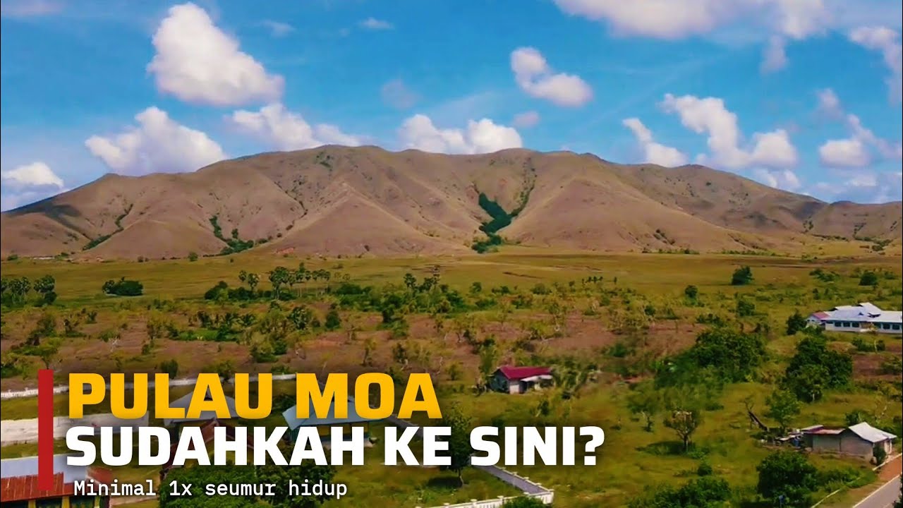 Surga Terpencil Yang Terlupakan Dunia: Pulau Moa!