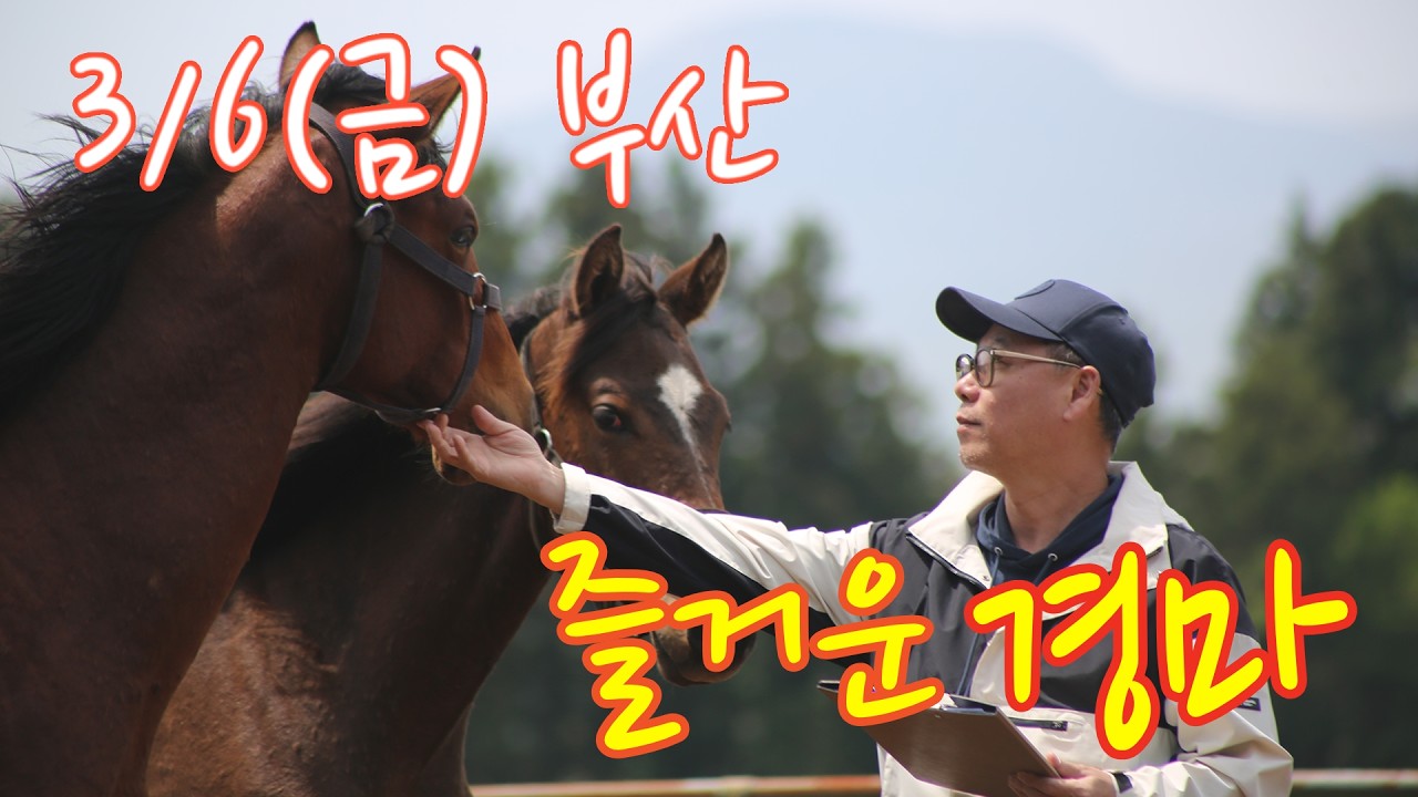 김호경마 3월 6일 금요일 부산경마방송!