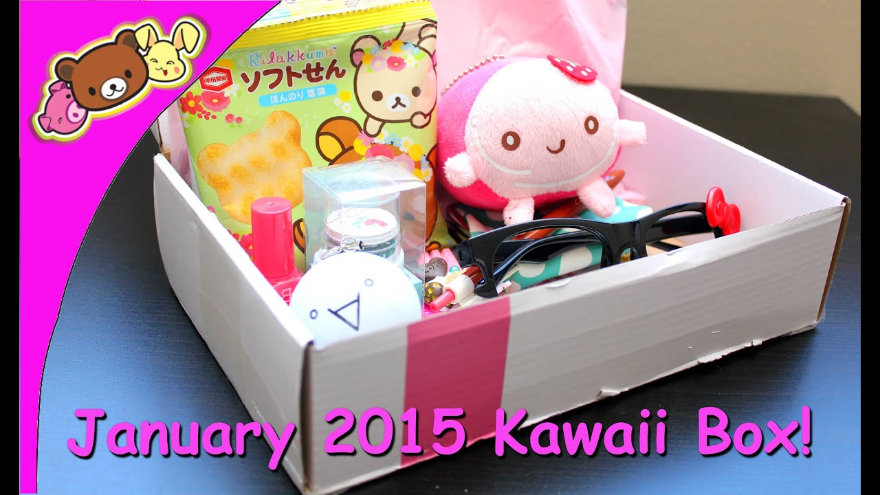 Kawaii Box January 2015 - Monthly Subscription Box - Opening/Review!