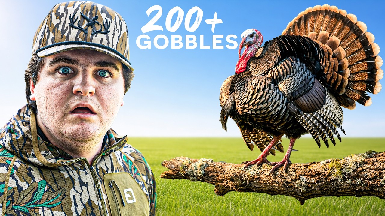The Most PICTURE PERFECT Turkey Hunt Off The Roost!