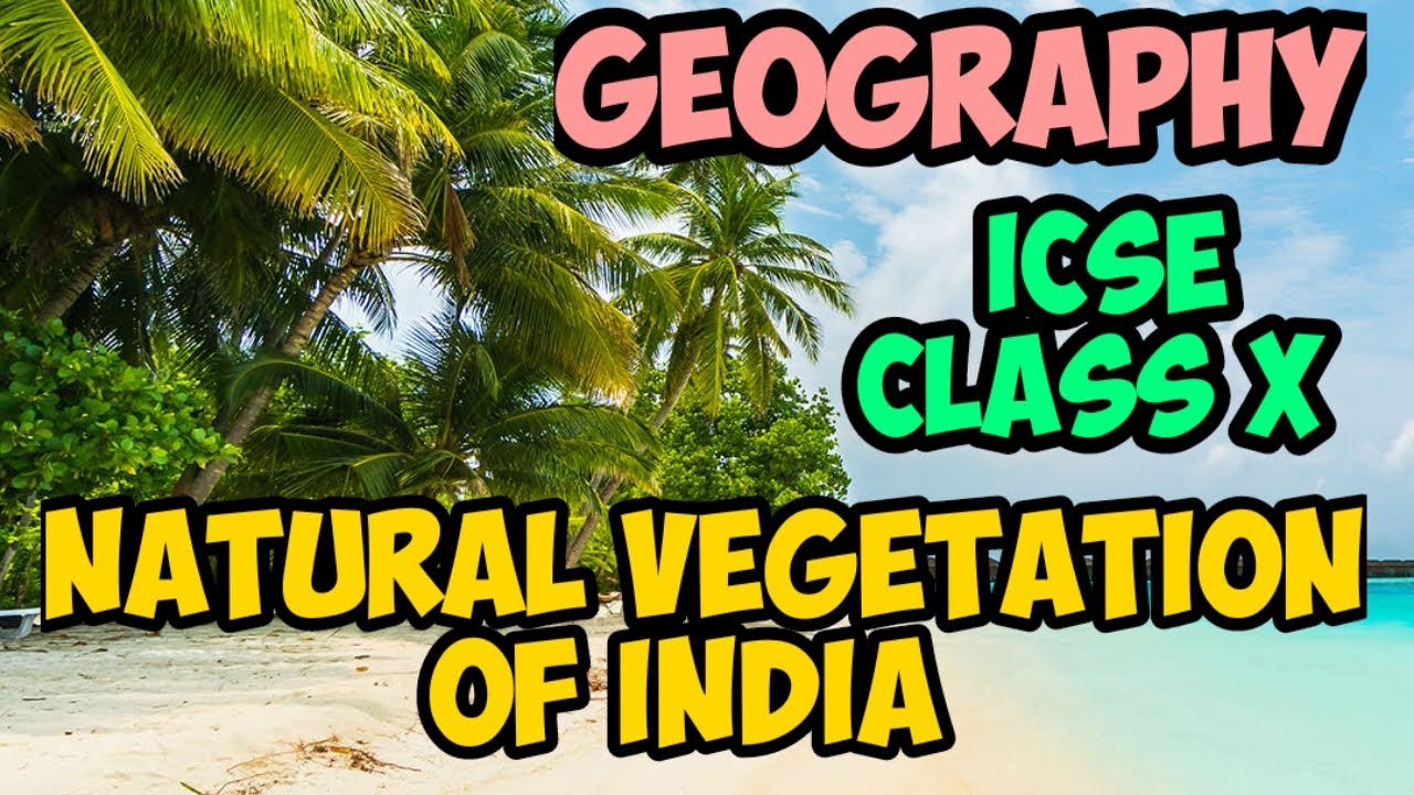 Natural Vegetation of India | Geography ICSE Class 10 | Explained in English & Hindi