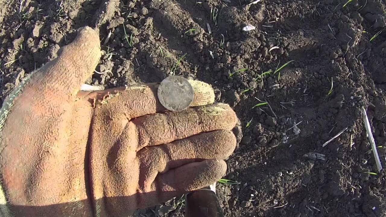 more silvers from the medieval field