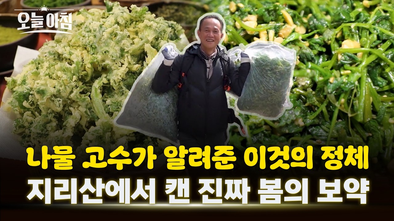 지리산 나물 고수가 작정하고 푼 비법?! 🌿 '이것' 하나면 봄철 입맛 소생 완료! ✨ ㅣ [생방송오늘아침] #바로보기