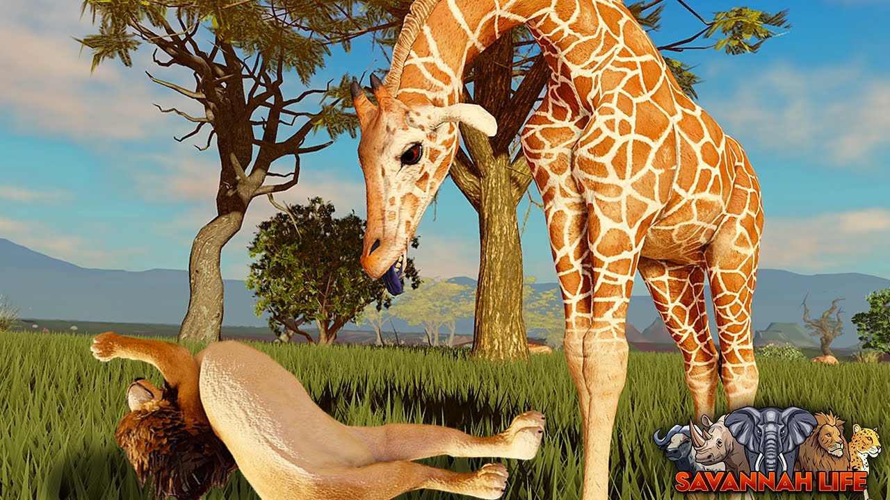 Giraffe Fighting To The Death! | ROBLOX Savannah Life