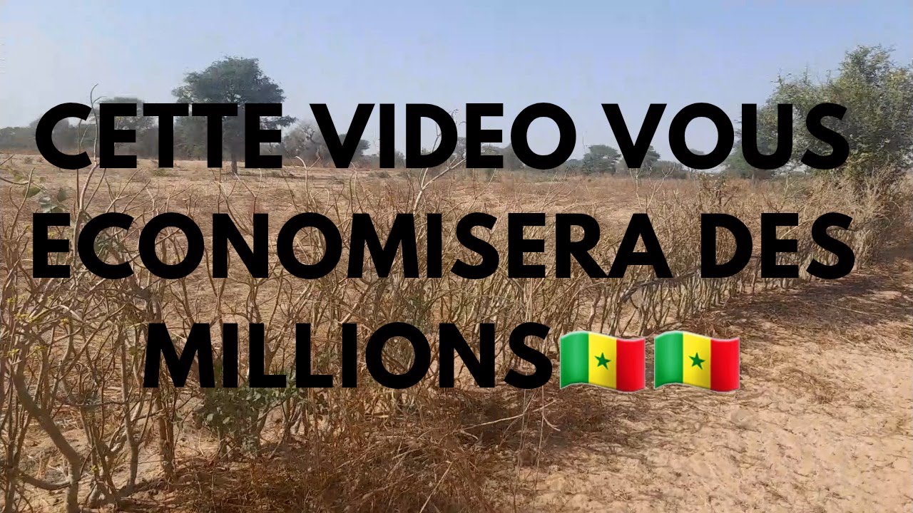 Ep 2: Les pièges dans l'achat de Terrain Agricole au Sénégal