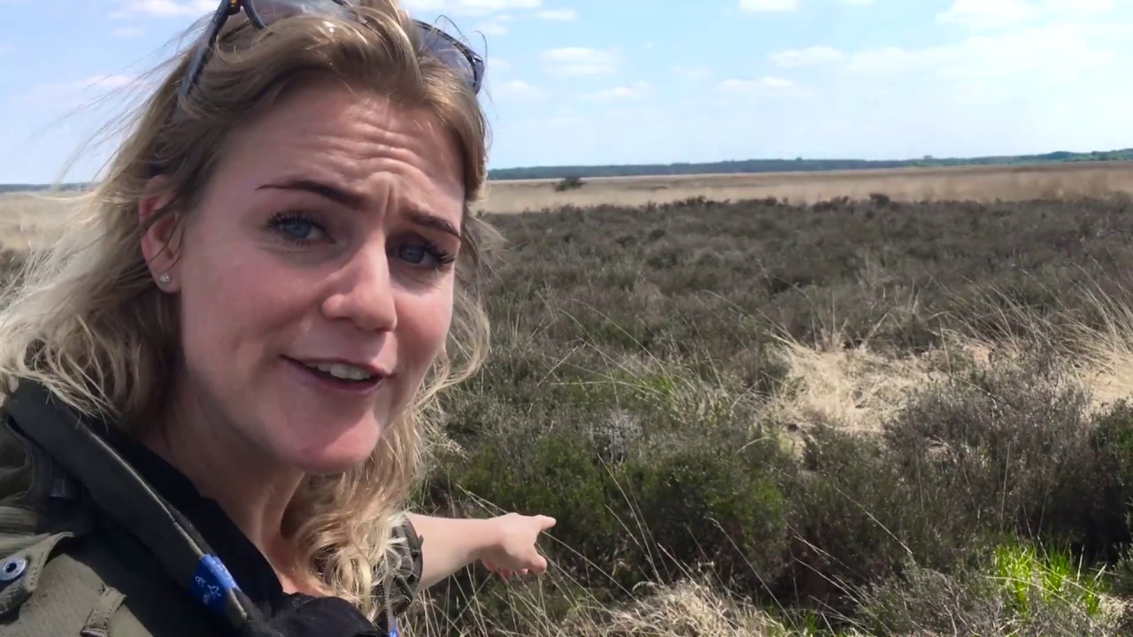 De grootste en natste heide van Europa | Vlog boswachter Hanne | #83