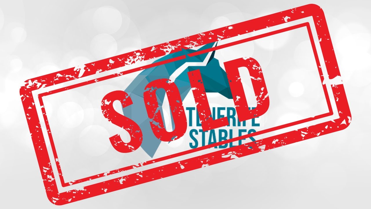 ***SOLD*** Cornwest, 2019 SKWB gelding hunter/EQ/jumper