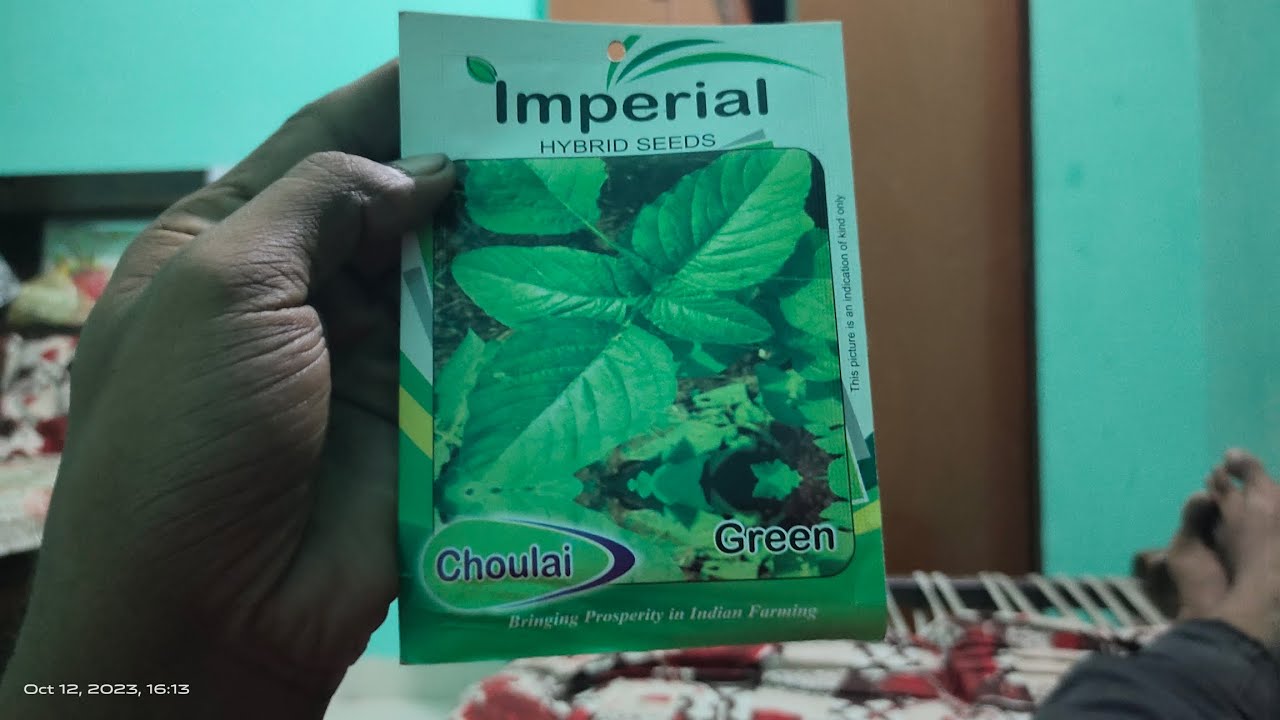 imperial sughand kondhra  seeds review in hindi