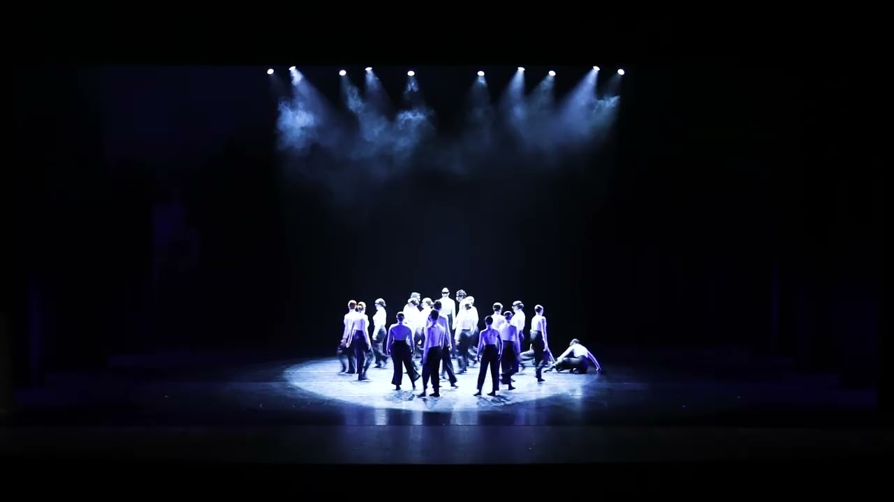 Suzana d´ávila Estúdio de Dança - In Silico