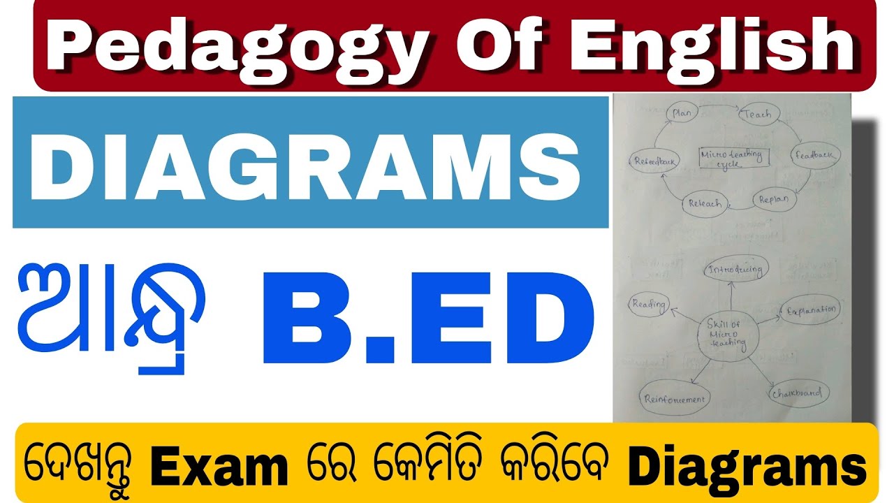 How to Draw Diagrams In Pedagogy Of English 💯 || For All Andhra Bed Students 😱
