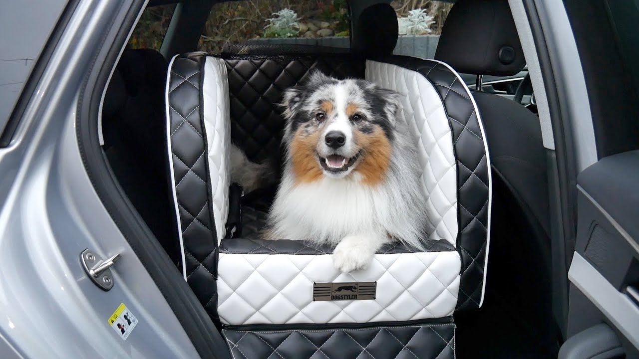 Timba testet: DOGSTYLER f&uuml;r's Auto